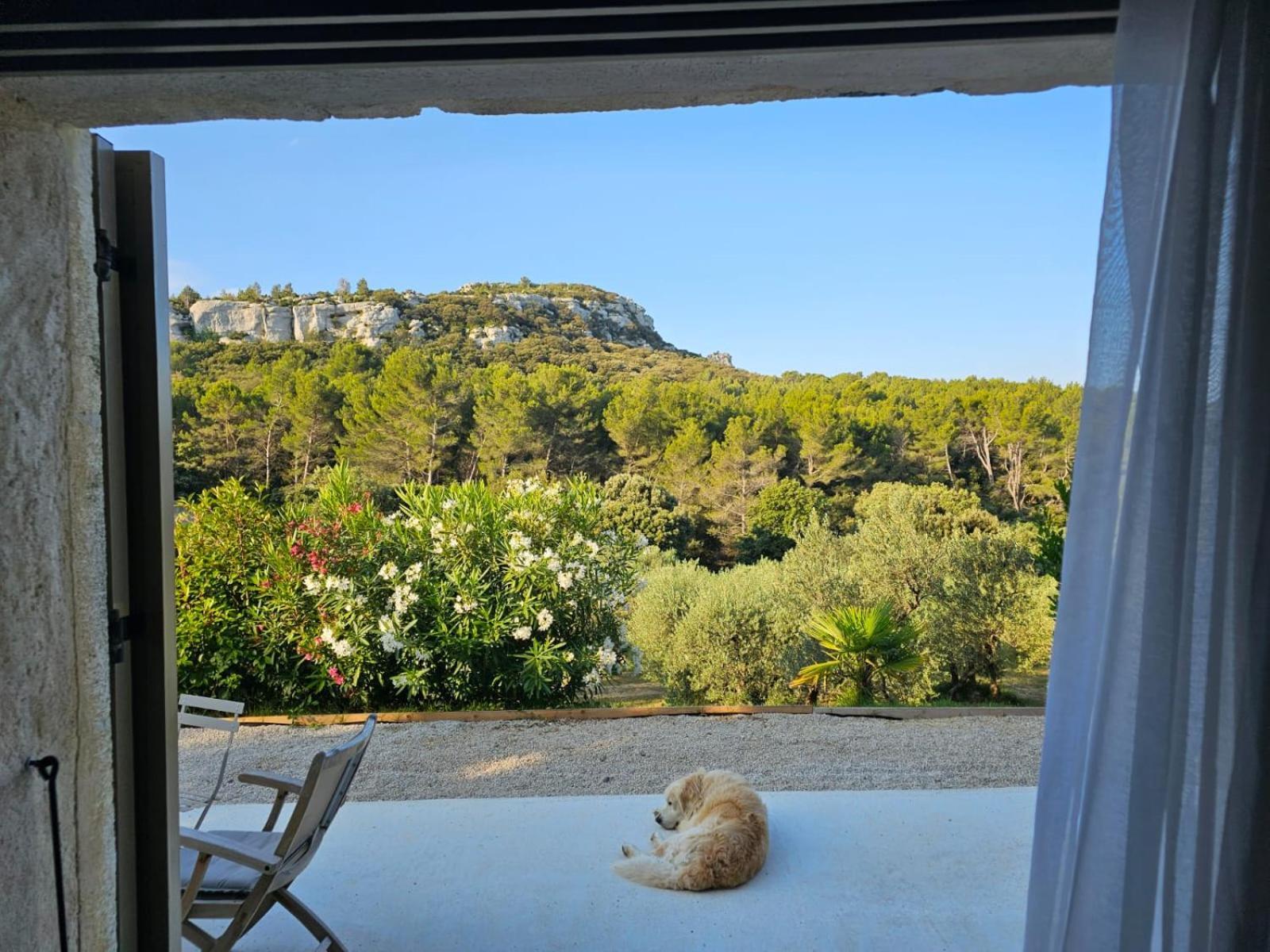 Mas De La Fadeto Bed & Breakfast Les Baux-de-Provence Luaran gambar