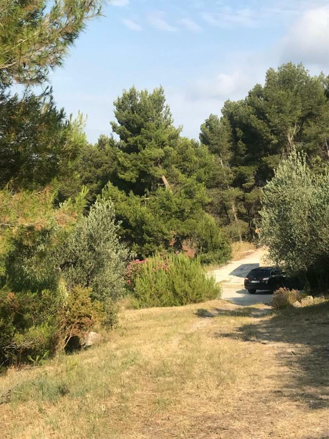 Mas De La Fadeto Bed & Breakfast Les Baux-de-Provence Luaran gambar